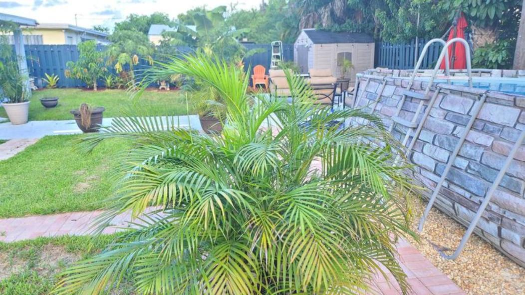 Palm Springs 3-Bedroom 2-Bath 5 Miles To The Beach Lake Worth Beach Ngoại thất bức ảnh